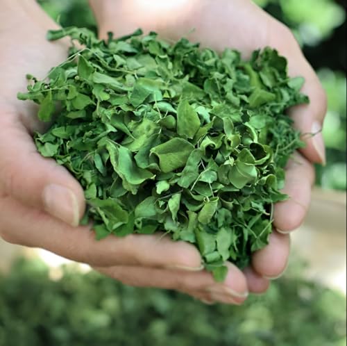 Motherland Goods Dried Moringa Whole Leaves | 100% Natural Moringa Oleifera | Non-GMO, Gluten-Free | Great for Tea, Smoothies & Recipes | No Stems, Premium Quality (2 Oz)