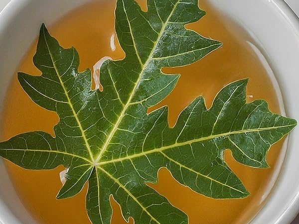 Akshit Moringa Leaves, 2.6oz, Dried From Fresh MoringaOleifera Leaves, Hojas De Moringa Secas, Loose Leaf Tea, Drumstick Tree Leaf, Non-GMO