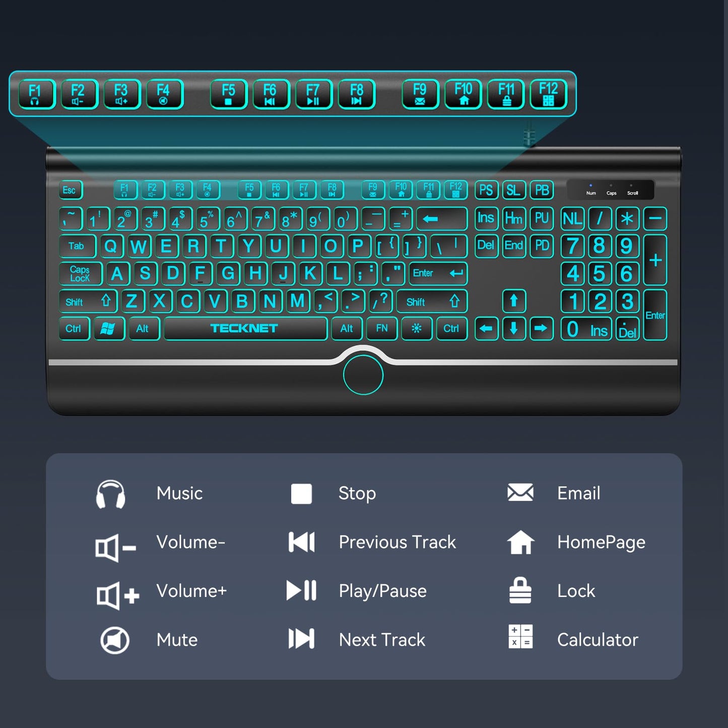 TECKNET Large Print Backlit Keyboard, Wired USB-A Computer Keyboard with Wrist Rest, 7-Color Backlit, Oversized Letter Keys Easy to See, Plug-and-Play, Silent, Light Up Keyboard for Windows/PC/Laptop