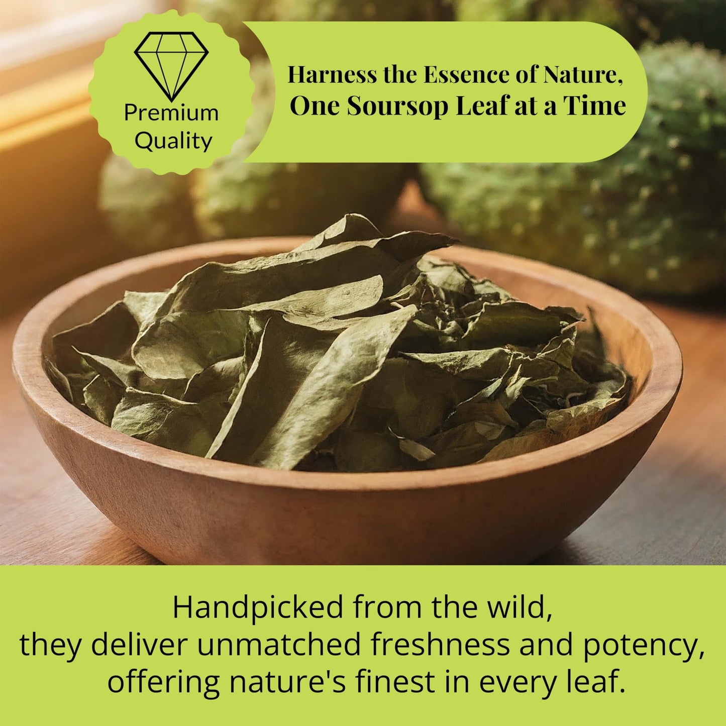 Akshit Natural Moringa Leaves, Dried From Fresh Leaves, MoringaOleifera Leaf Tea, Caffeine Free, Hojas De Moringa Secas, Non GMO. 2.6oz.