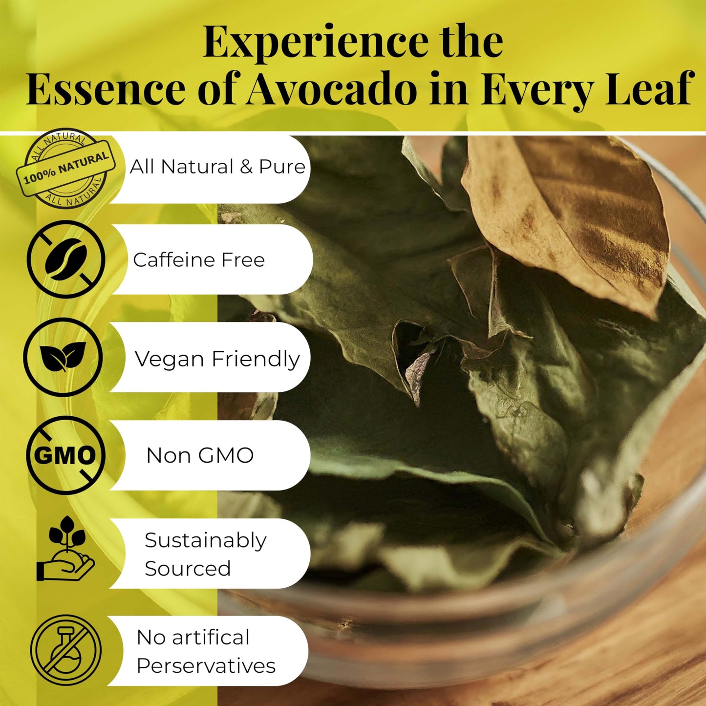 Akshit Natural Moringa Leaves, Dried From Fresh Leaves, MoringaOleifera Leaf Tea, Caffeine Free, Hojas De Moringa Secas, Non GMO. 2.6oz.