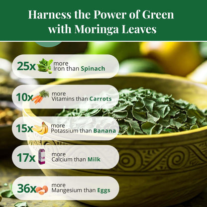 Akshit Natural Moringa Leaves, Dried From Fresh Leaves, MoringaOleifera Leaf Tea, Caffeine Free, Hojas De Moringa Secas, Non GMO. 2.6oz.
