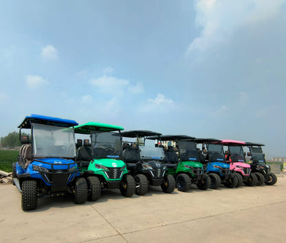 2+2 4+2 Seater 4 6 Person/Passenger Sightseeing Cart Club Car Electric Golf Cart