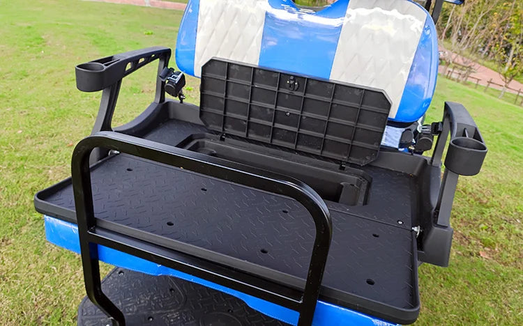 2+2 4+2 Seater 4 6 Person/Passenger Sightseeing Cart Club Car Electric Golf Cart