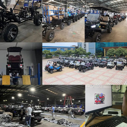 2+2 4+2 Seater 4 6 Person/Passenger Sightseeing Cart Club Car Electric Golf Cart