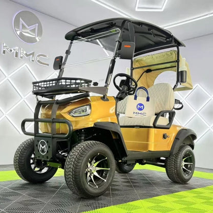Hot Sale CE approve Independent Suspension LED Lights Off Road Buggy 2 4 6 Seater Electric Golf Cart