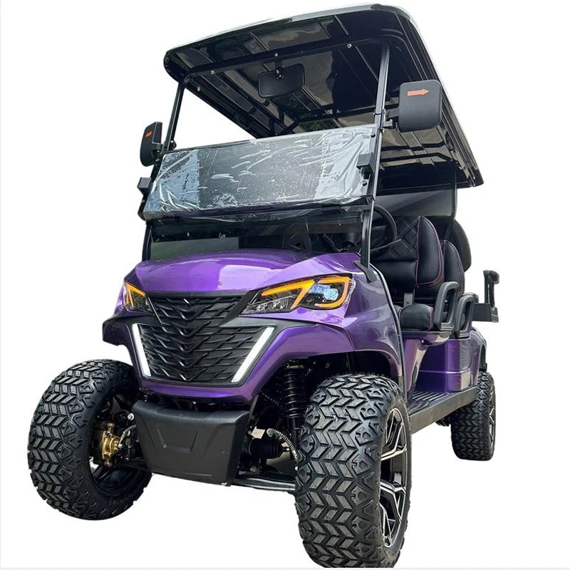 2+2 4+2 Seater 4 6 Person/Passenger Sightseeing Cart Club Car Electric Golf Cart