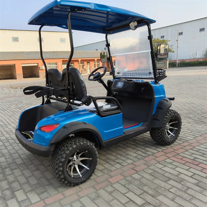 2+2 4+2 Seater 4 6 Person/Passenger Sightseeing Cart Club Car Electric Golf Cart