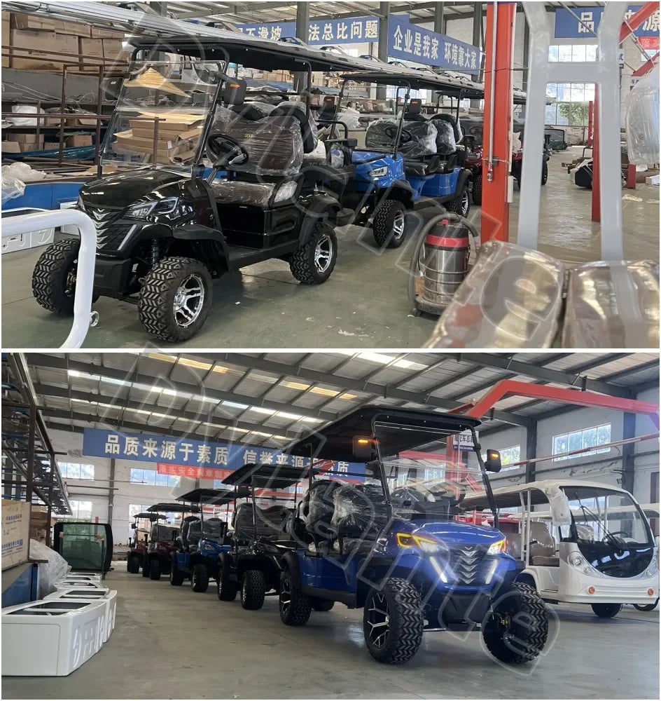 China Made Top Adult Golf Cart 6 Seater 25 MPH Speed Electric Vehicle Club 350CC Gas Powered Sightseeing Car