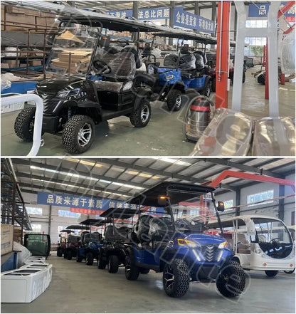 China Made Top Adult Golf Cart 6 Seater 25 MPH Speed Electric Vehicle Club 350CC Gas Powered Sightseeing Car