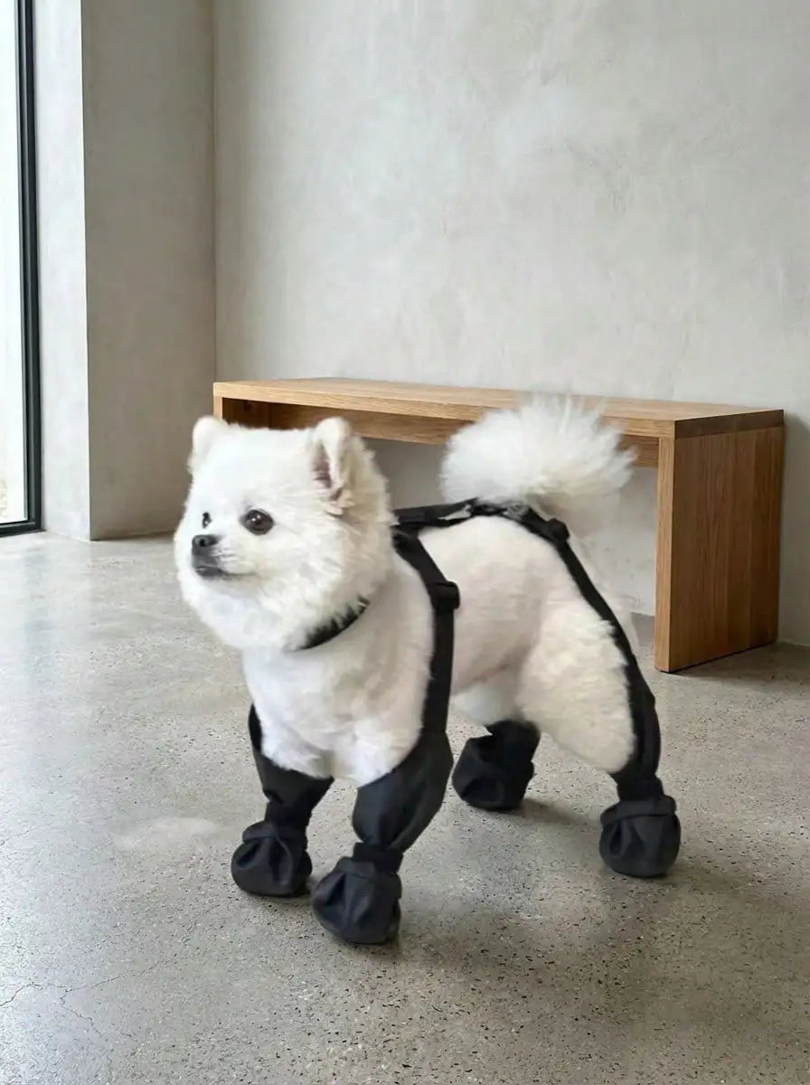Black Waterproof Dog Boots with Adjustable Straps for Outdoor Walking