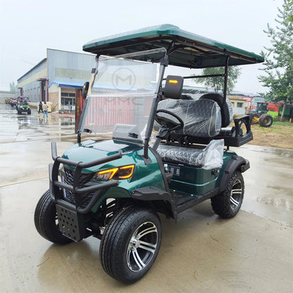 2+2 4+2 Seater 4 6 Person/Passenger Sightseeing Cart Club Car Electric Golf Cart