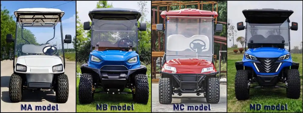 2+2 4+2 Seater 4 6 Person/Passenger Sightseeing Cart Club Car Electric Golf Cart