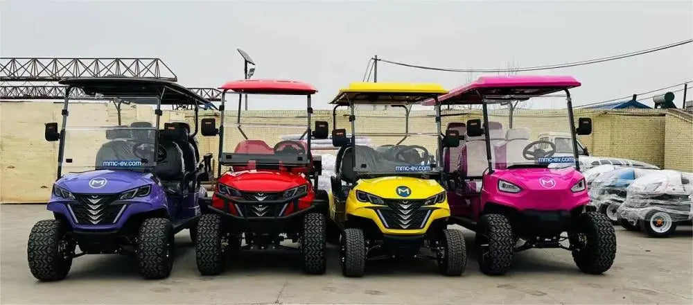 2+2 4+2 Seater 4 6 Person/Passenger Sightseeing Cart Club Car Electric Golf Cart