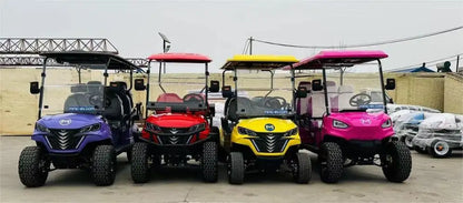 2+2 4+2 Seater 4 6 Person/Passenger Sightseeing Cart Club Car Electric Golf Cart