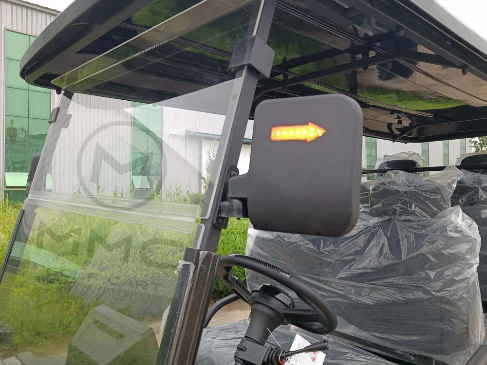 2+2 4+2 Seater 4 6 Person/Passenger Sightseeing Cart Club Car Electric Golf Cart