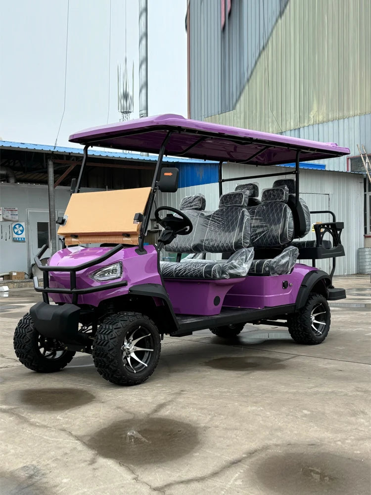 Hot Sale CE approve Independent Suspension LED Lights Off Road Buggy 2 4 6 Seater Electric Golf Cart