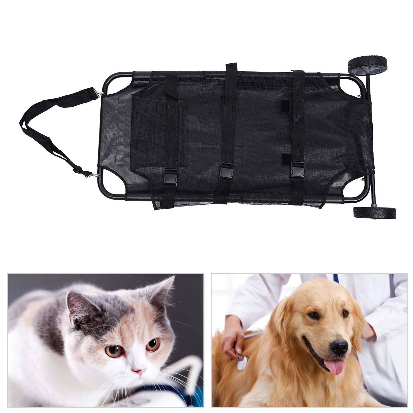 description_selected9