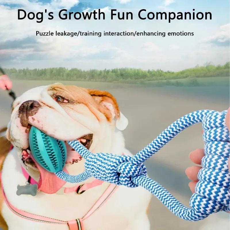 Durable Rope Dog Toy for Aggressive Chewers, Interactive Tug of War Fetch Toy, Braided Cotton Rope for Dental Health, for Medium