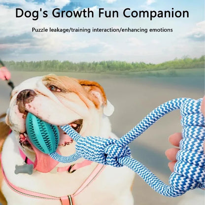 Durable Rope Dog Toy for Aggressive Chewers, Interactive Tug of War Fetch Toy, Braided Cotton Rope for Dental Health, for Medium