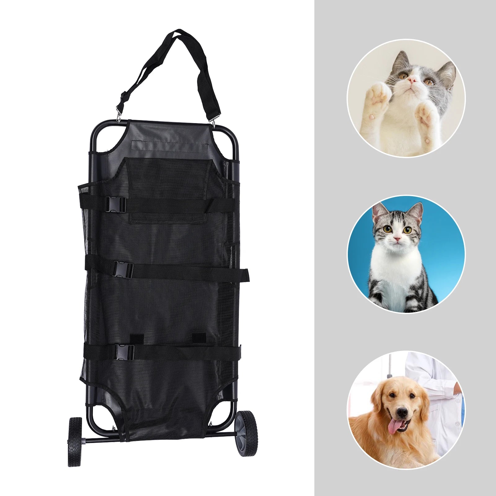 description_selected2