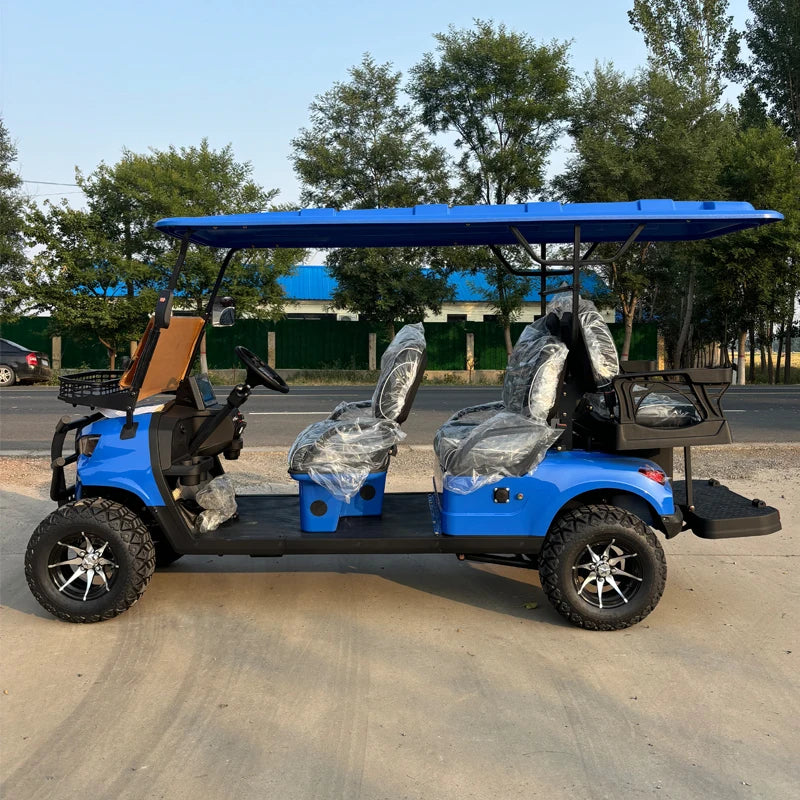 Hot Sale CE approve Independent Suspension LED Lights Off Road Buggy 2 4 6 Seater Electric Golf Cart