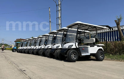 Fashion Classic China MMC 2 4 6 8 Seats 48V/60/72V 4000/5000/7500W Aluminum Alloy Electric Golf Cart