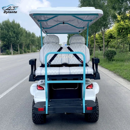 China Made Top Adult Golf Cart 6 Seater 25 MPH Speed Electric Vehicle Club 350CC Gas Powered Sightseeing Car
