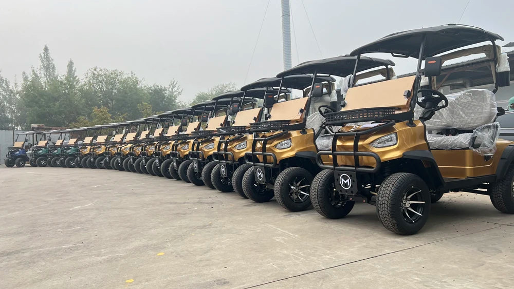 MMC 4WD aluminum alloy frame, off-road tires, 48V/72V Lithium Battery Acoustic 2/8 Seat Golf Cart, 4000W/7000W Golf Cart