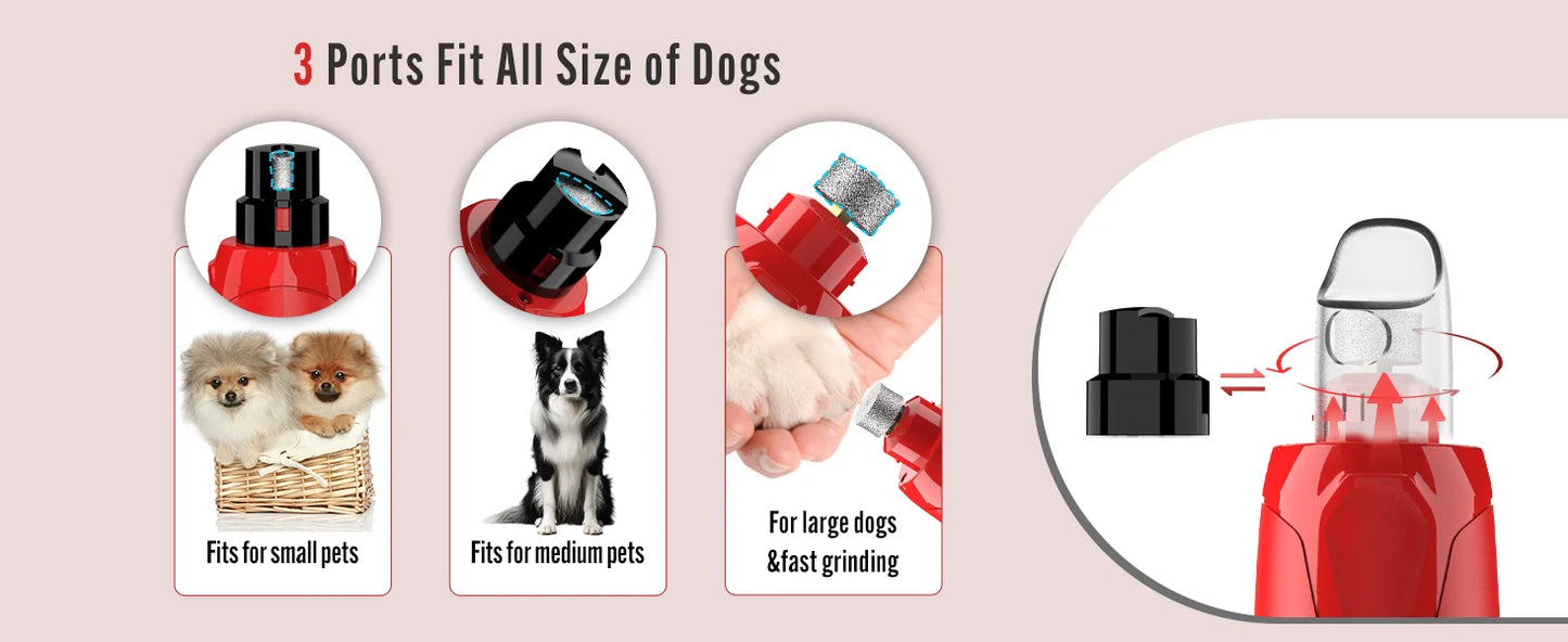 Dog Nail Grinder Dustproof with 2 LED Light - Super Quiet Powerful 6-Speed Nail Trimmer File for Small Medium Large Dogs dog acc