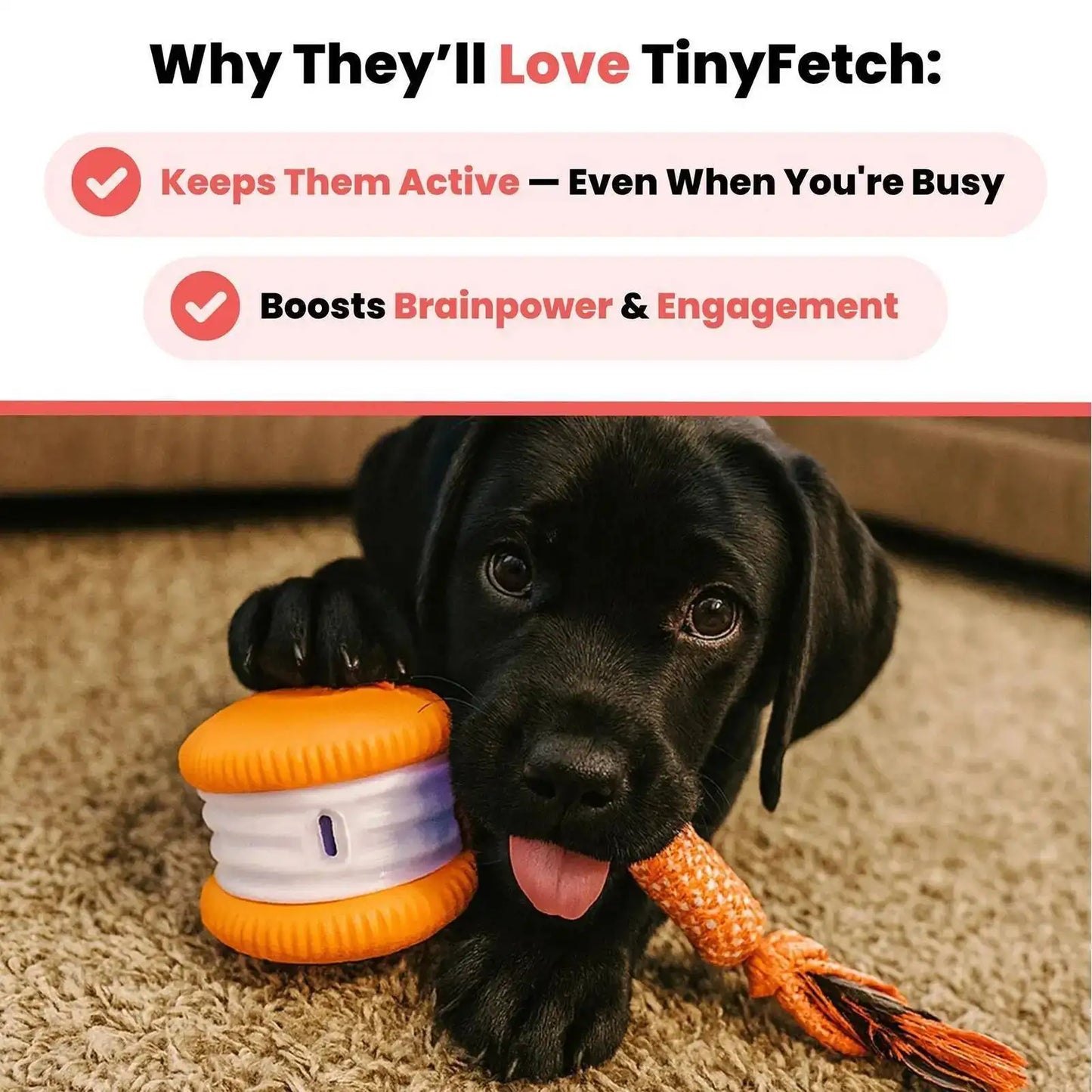 Interactive Dog Toys Smart Rolling Ball With Rope Motion Activated Automatic Moving Squeaky Dog Training Puppy Chew Toy Balls