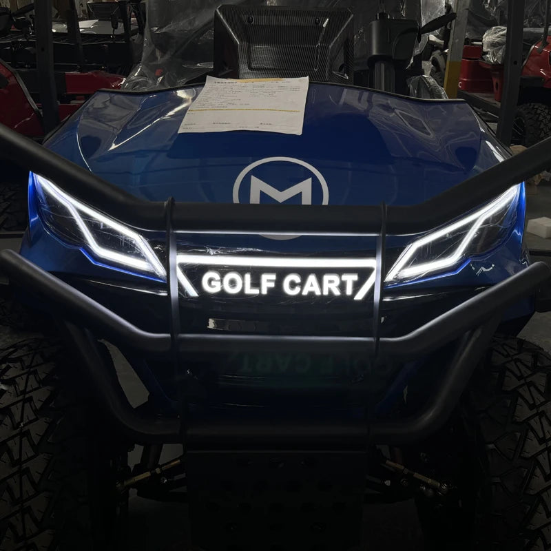 Hot Sale CE approve Independent Suspension LED Lights Off Road Buggy 2 4 6 Seater Electric Golf Cart