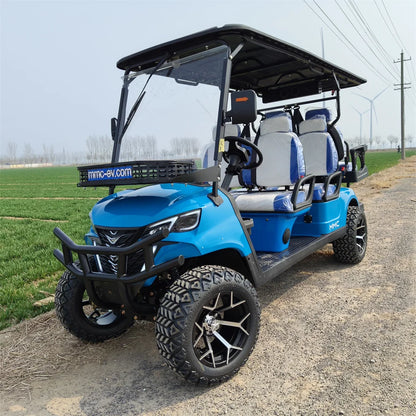 2+2 4+2 Seater 4 6 Person/Passenger Sightseeing Cart Club Car Electric Golf Cart