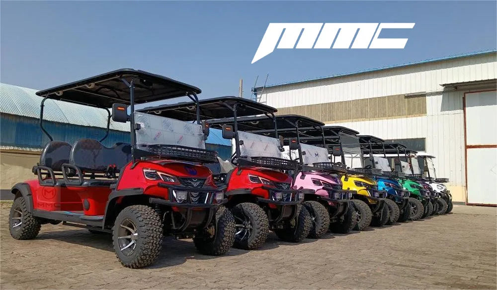 2+2 4+2 Seater 4 6 Person/Passenger Sightseeing Cart Club Car Electric Golf Cart