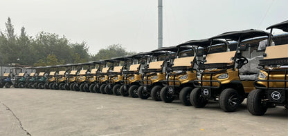 Fashion Classic China MMC 2 4 6 8 Seats 48V/60/72V 4000/5000/7500W Aluminum Alloy Electric Golf Cart