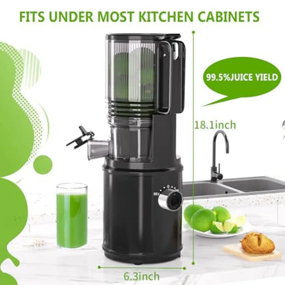 Cold Press Juicer 6.5 Extra Large Feed Chute Fit Hands-Free Electric Masticating Juicer Machine 350W Slow Masticating Juicer Ma